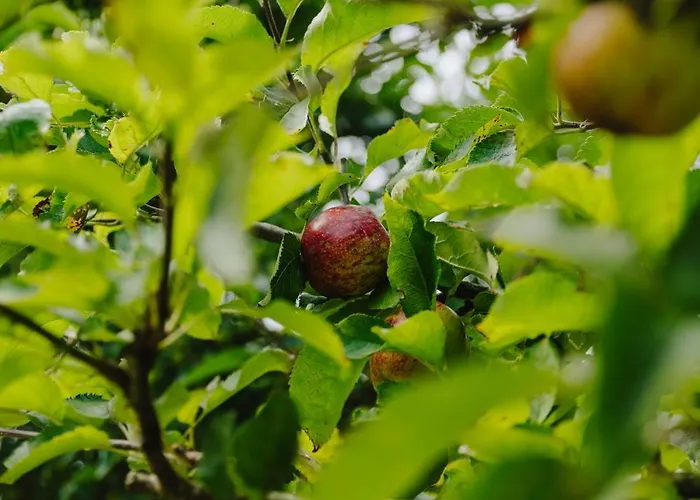 Watt Perle Casa vacanze *